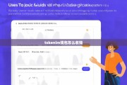 TokenPocket钱包新手必读，详解如何收钱的全流程与安全指南