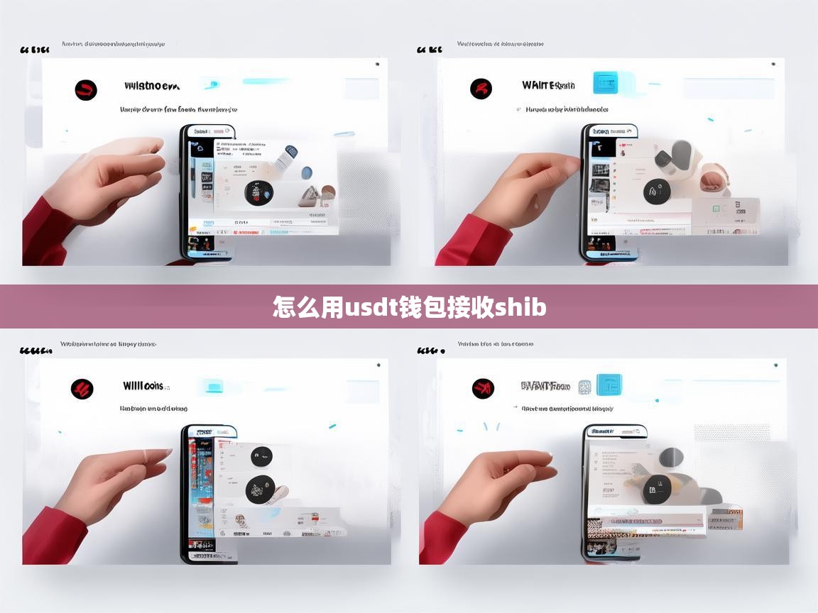 如何使用USDT钱包接收SHIB代币，详细指南